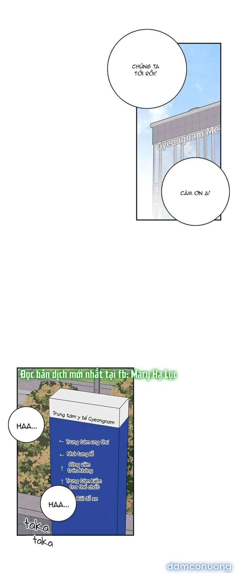 Toy Complex 