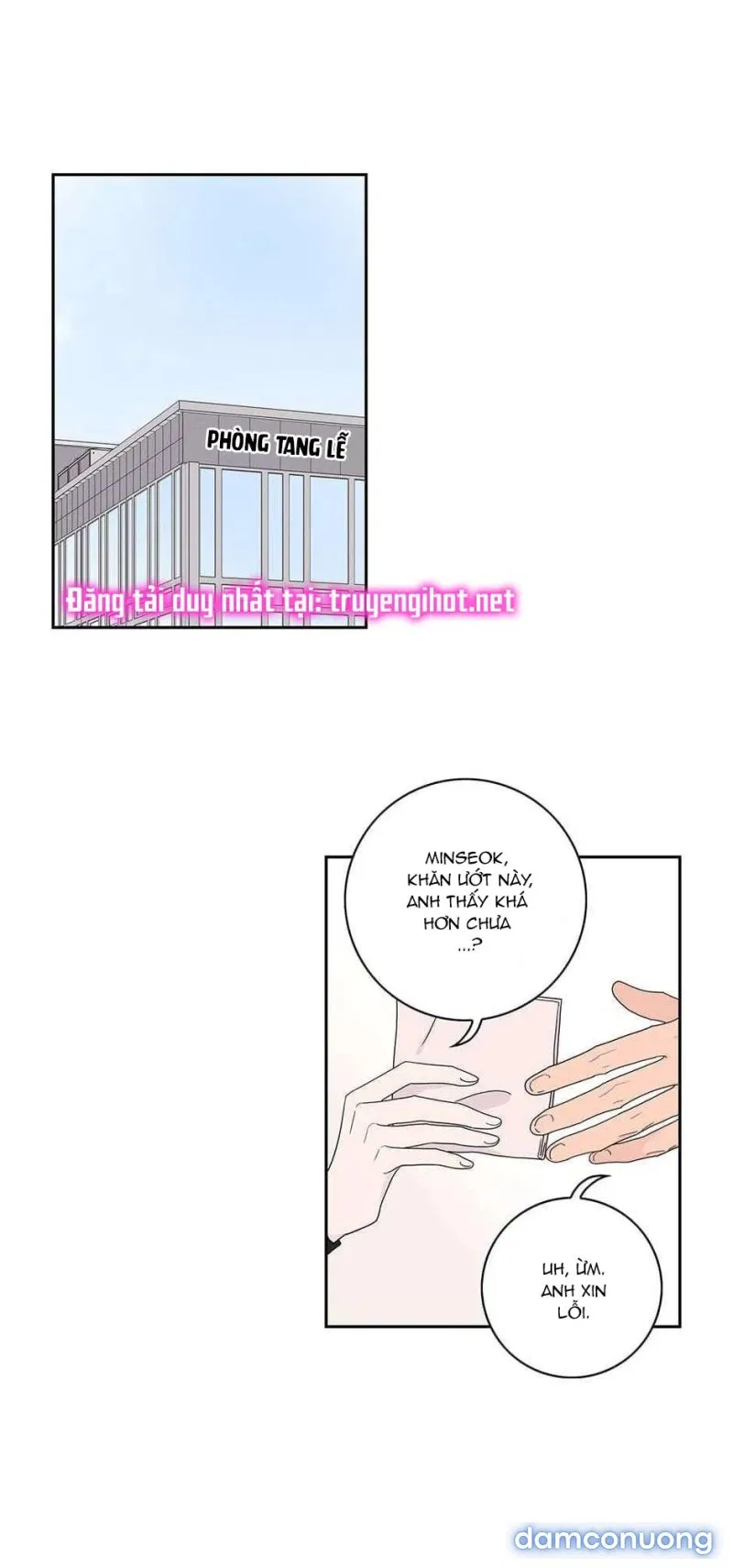 Toy Complex 