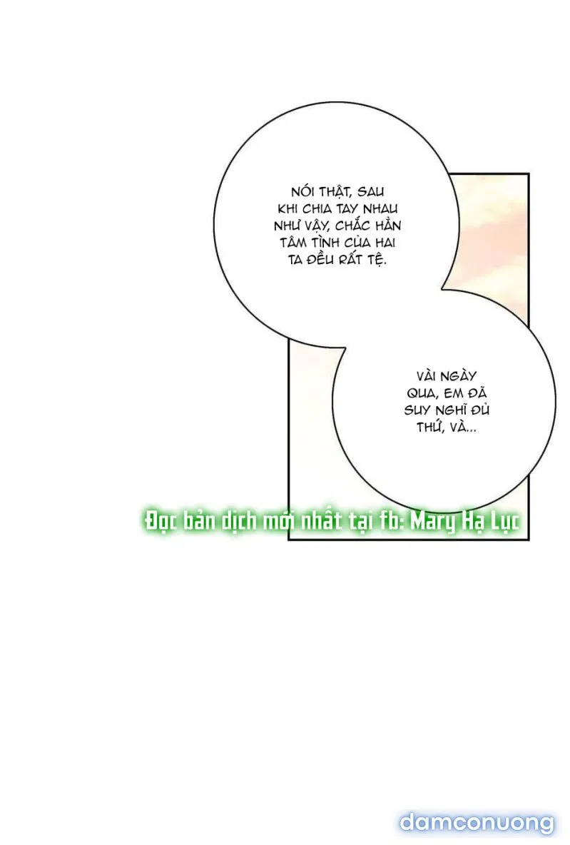 Toy Complex 