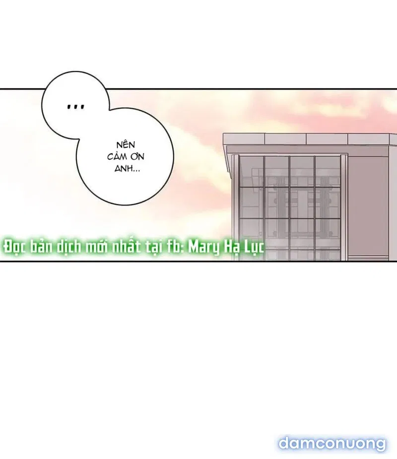 Toy Complex 