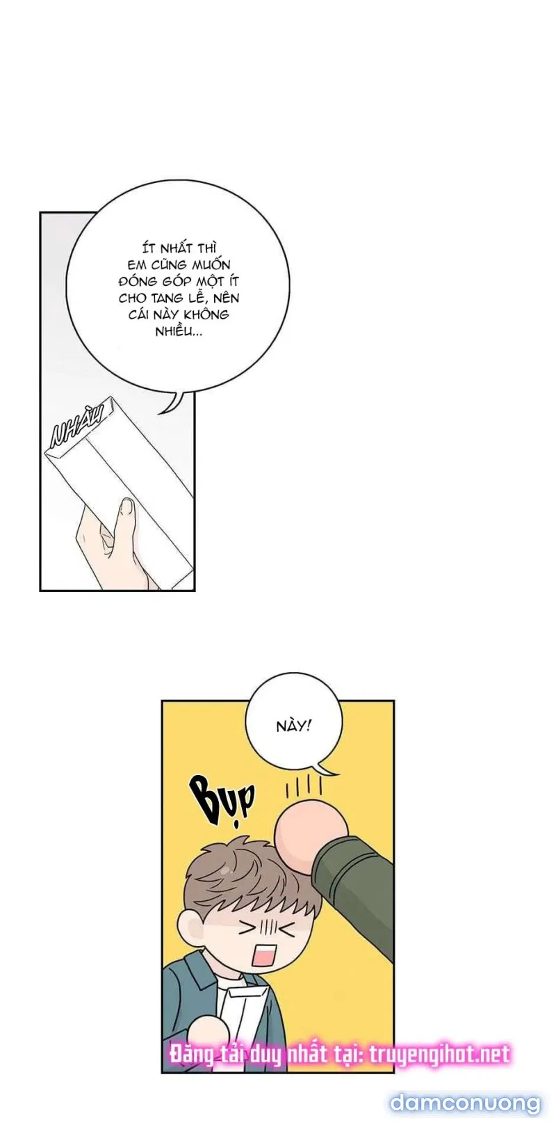 Toy Complex 