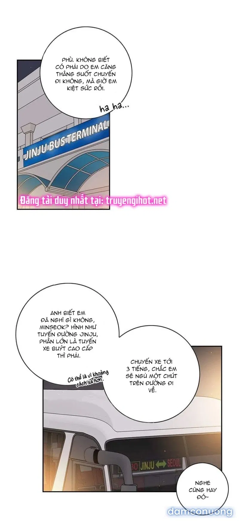 Toy Complex 
