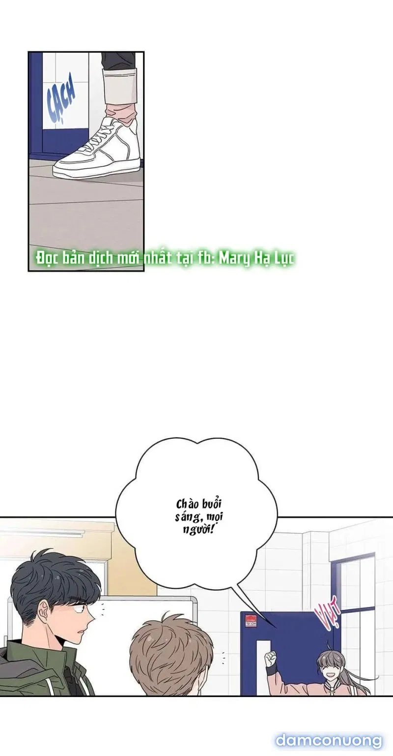 Toy Complex 