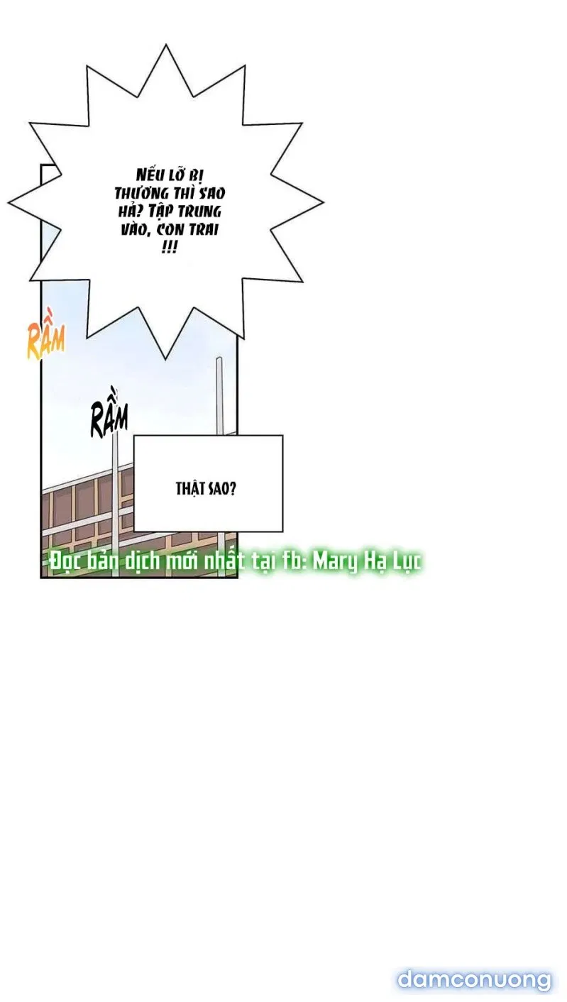Toy Complex 