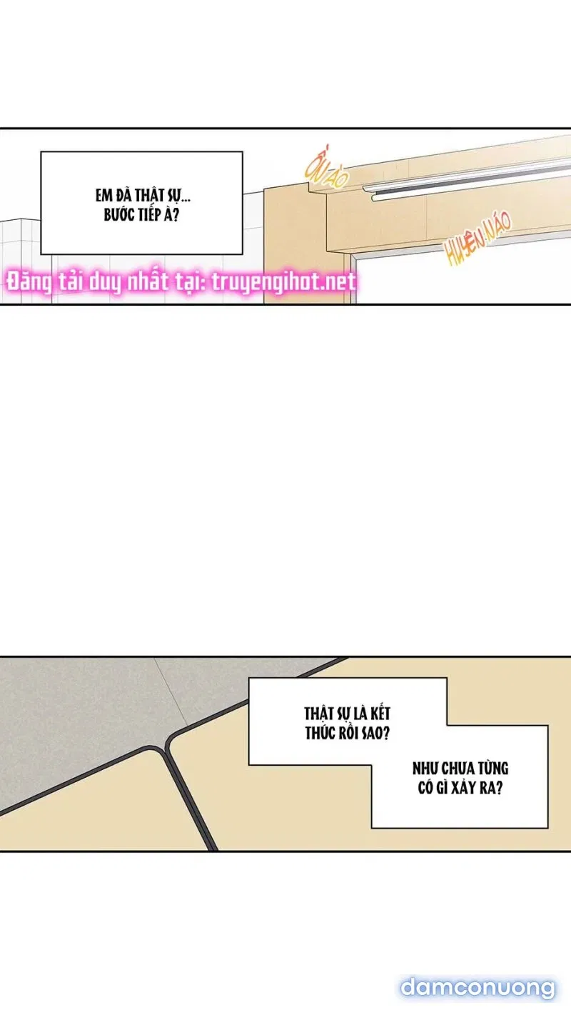 Toy Complex 