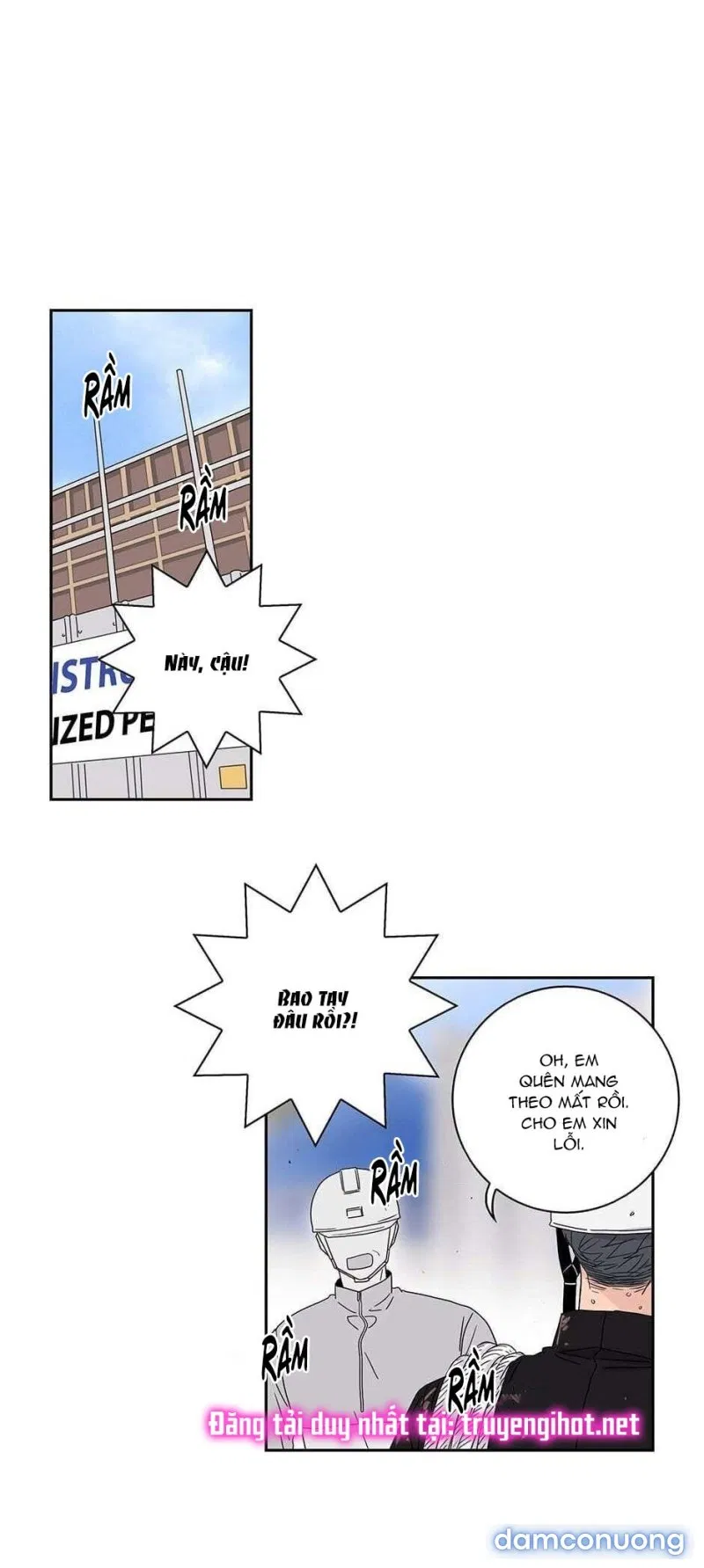 Toy Complex 