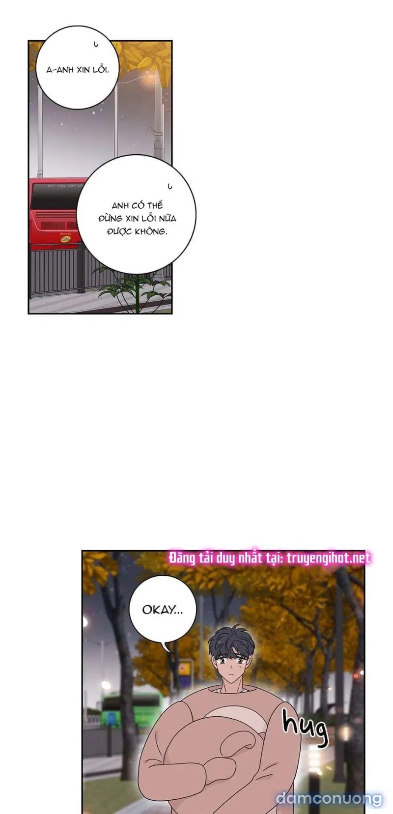 Toy Complex 