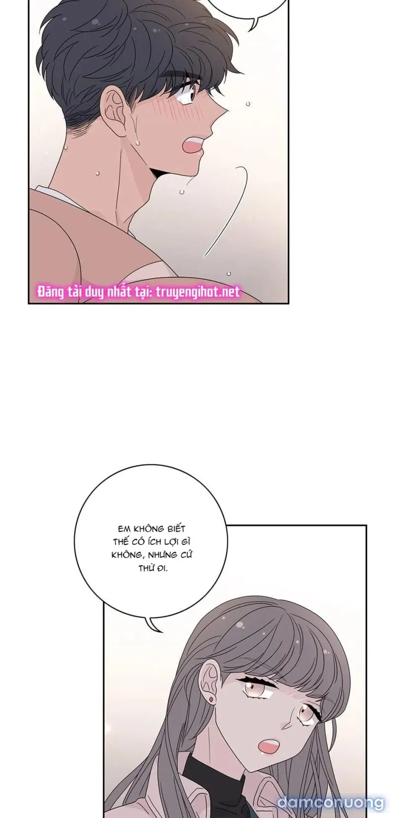 Toy Complex 