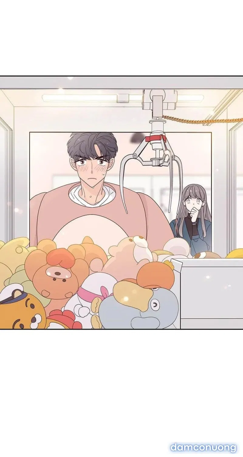 Toy Complex 