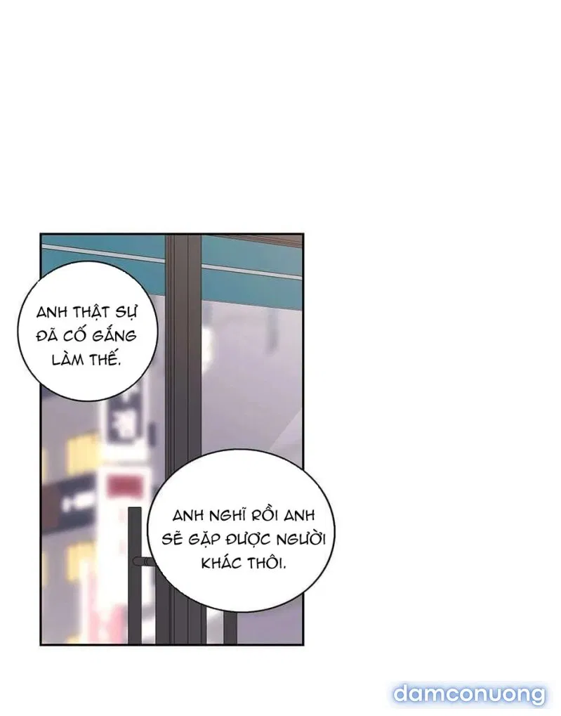 Toy Complex 