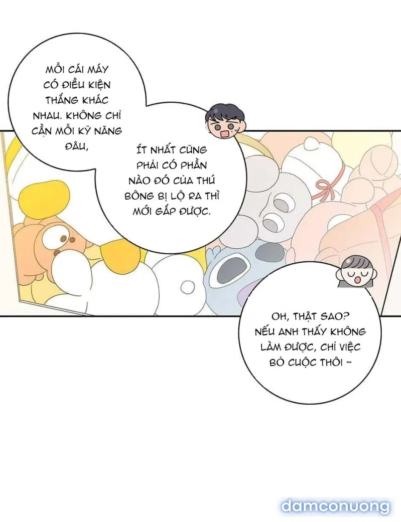 Toy Complex 