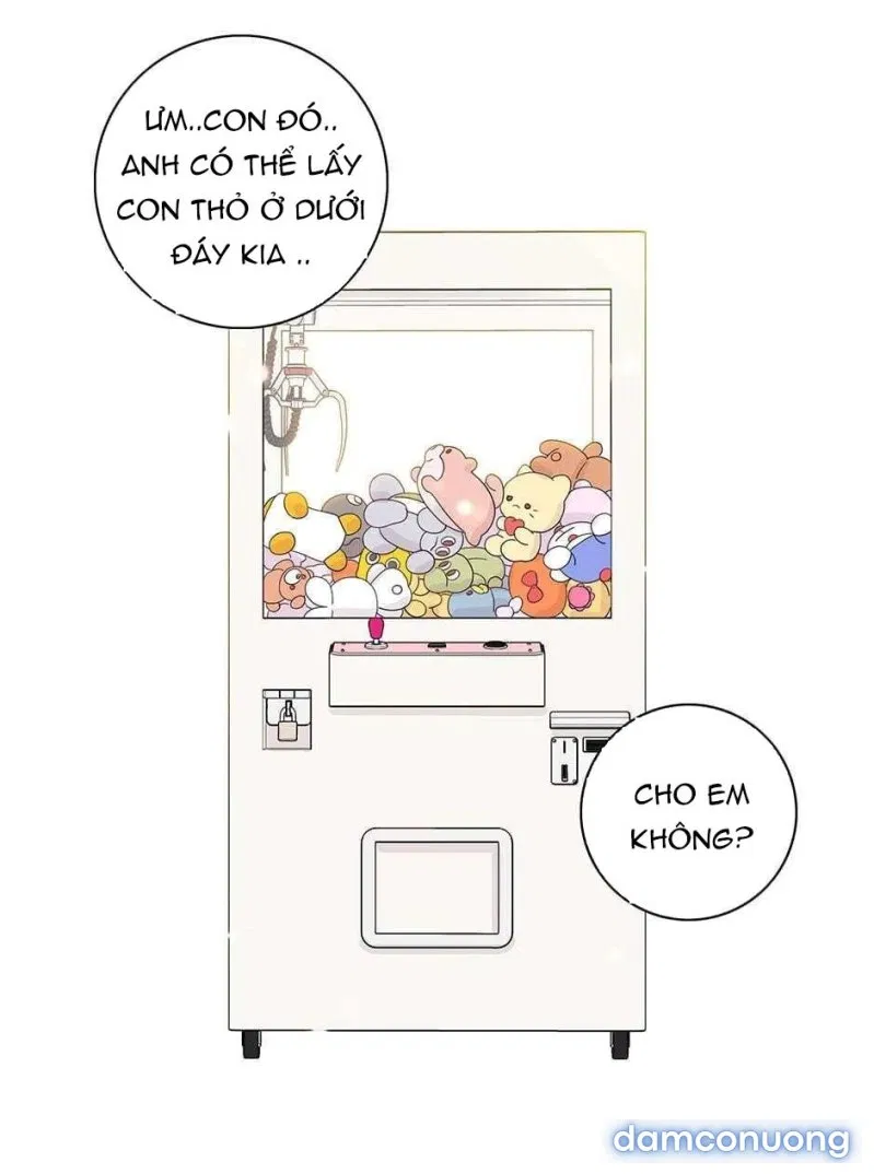 Toy Complex 