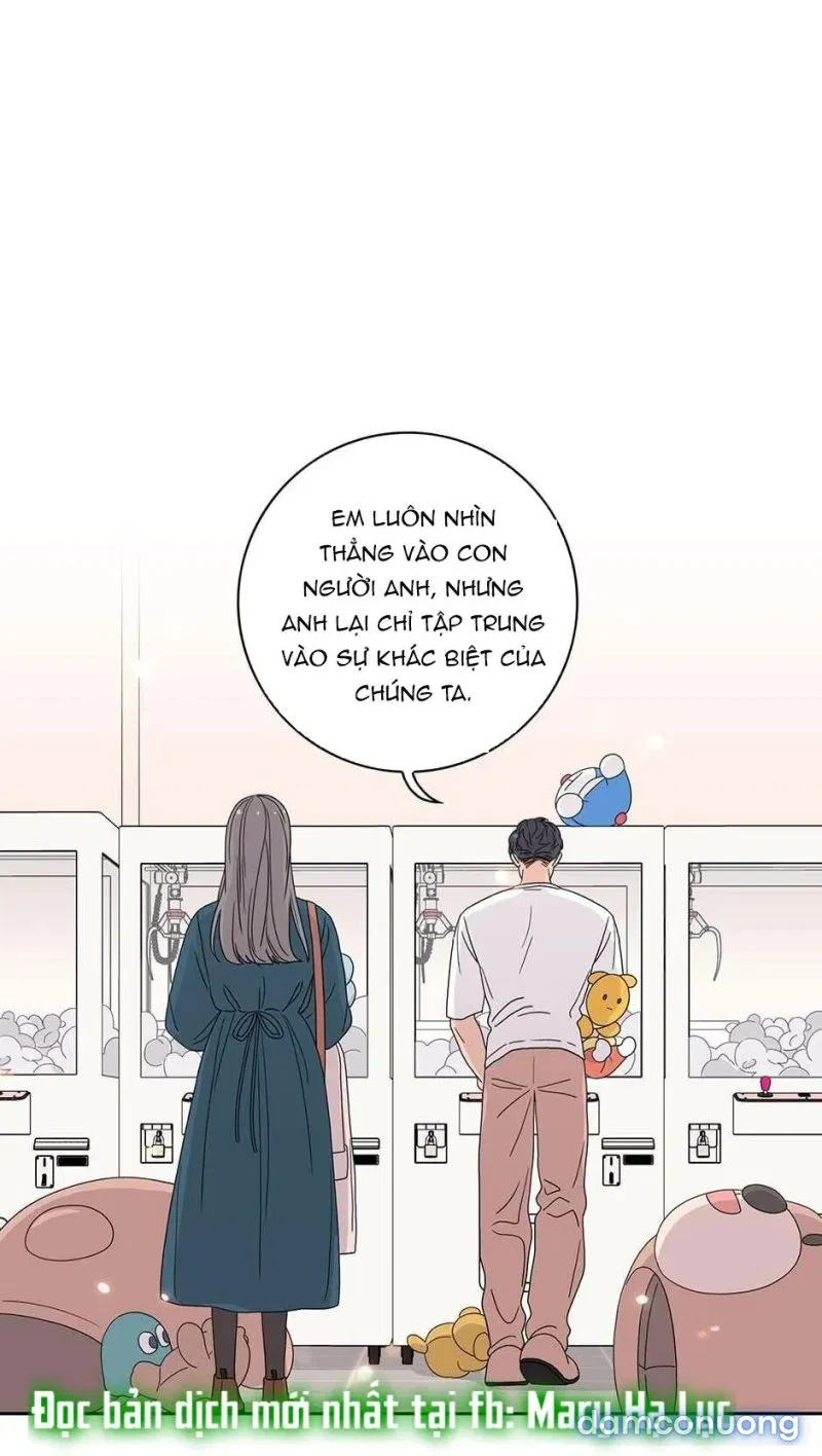 Toy Complex 