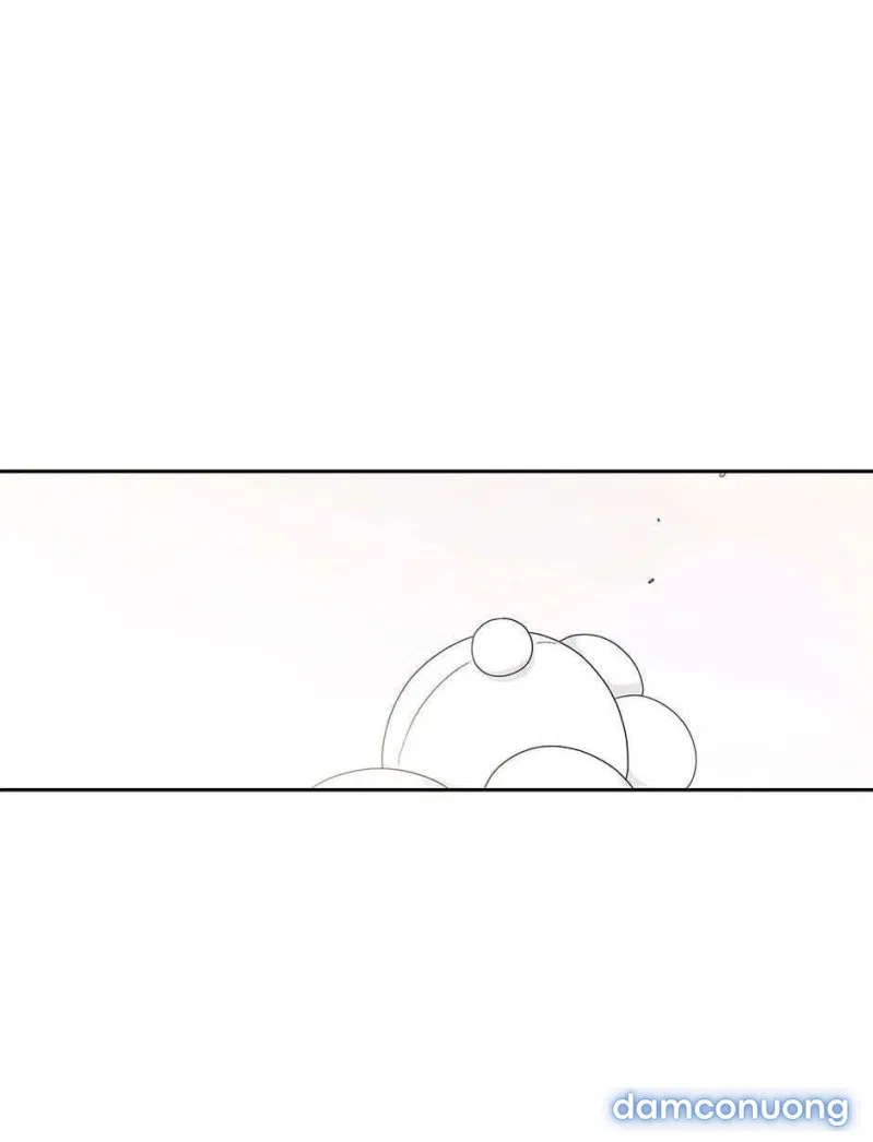 Toy Complex 