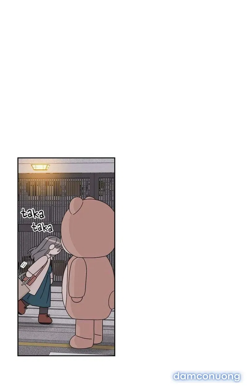 Toy Complex 