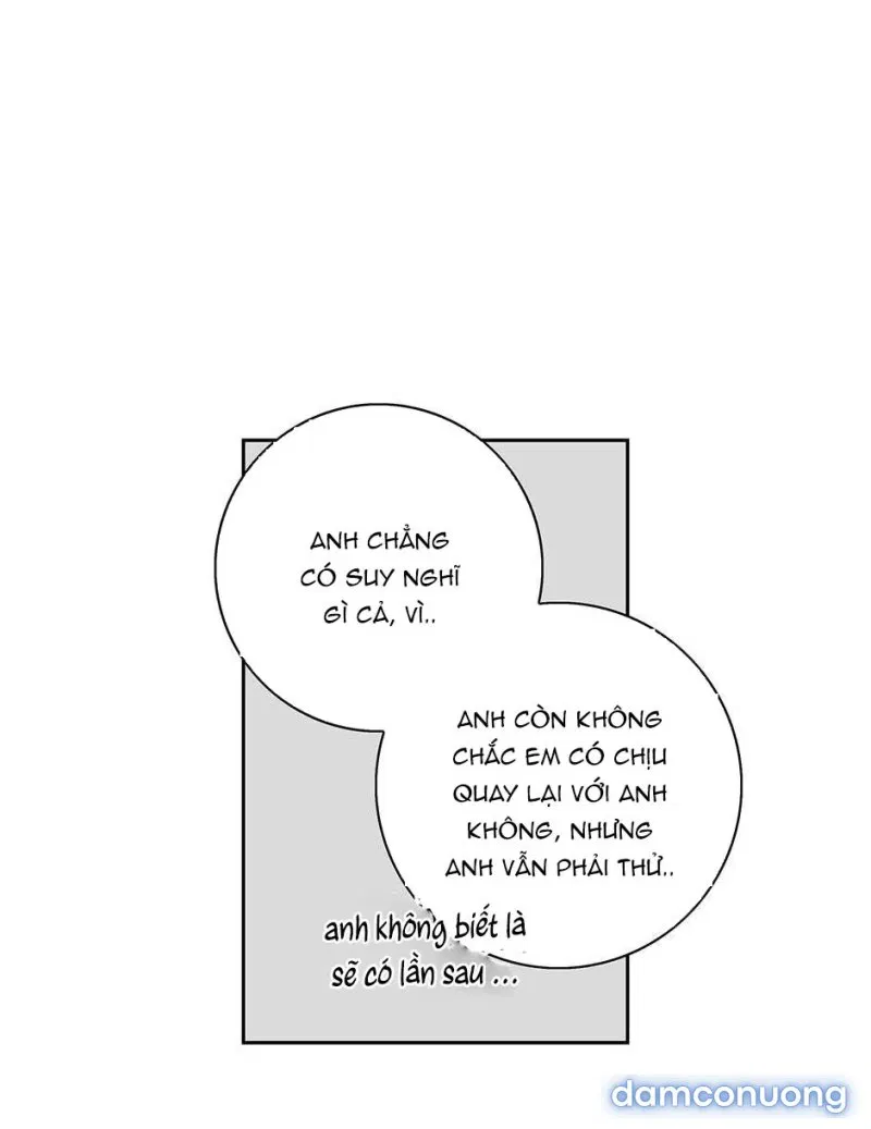 Toy Complex 