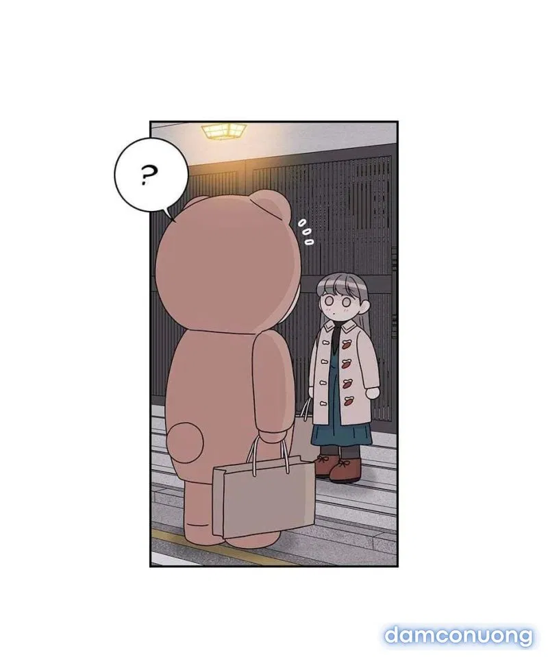 Toy Complex 