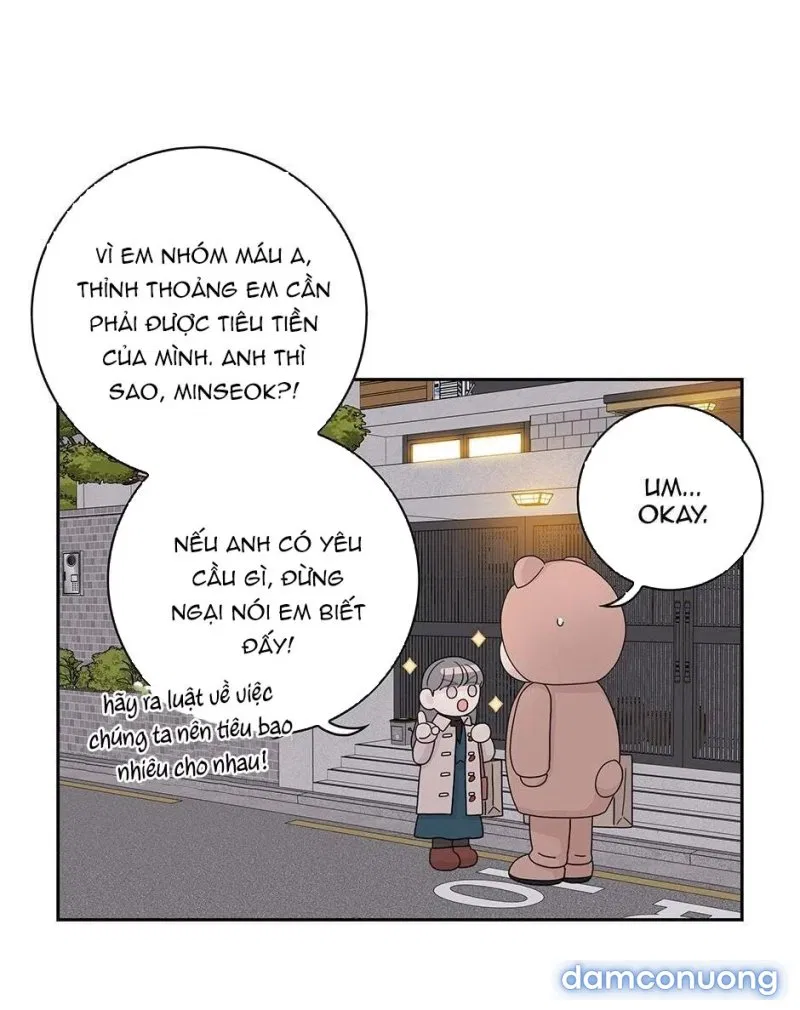 Toy Complex 