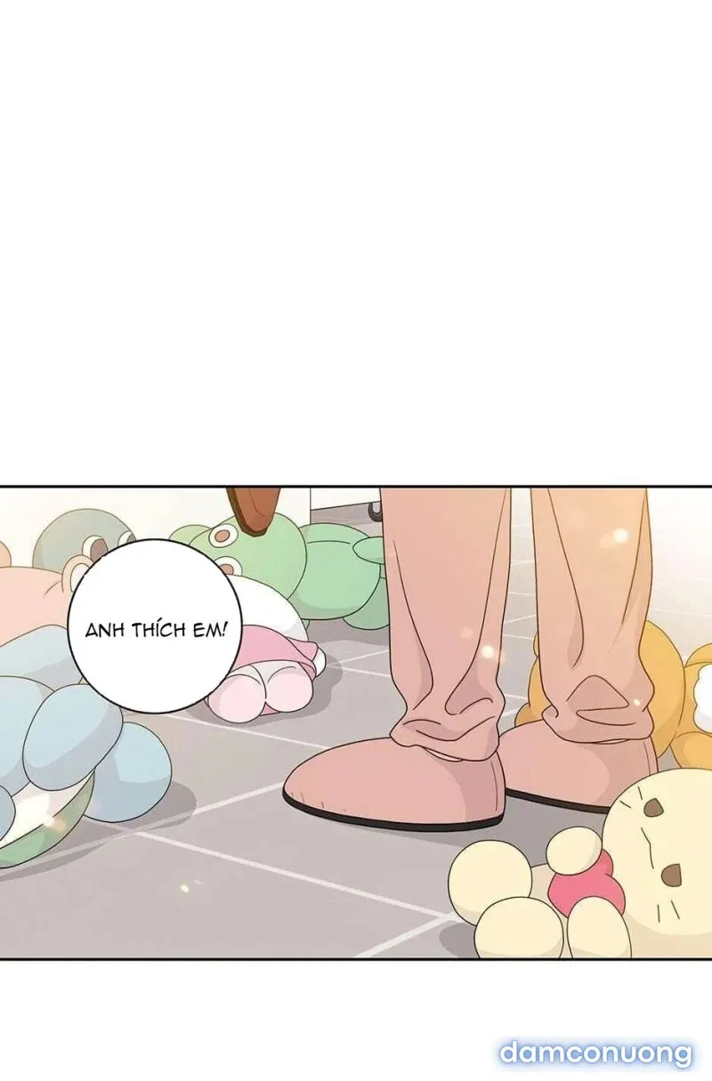 Toy Complex 