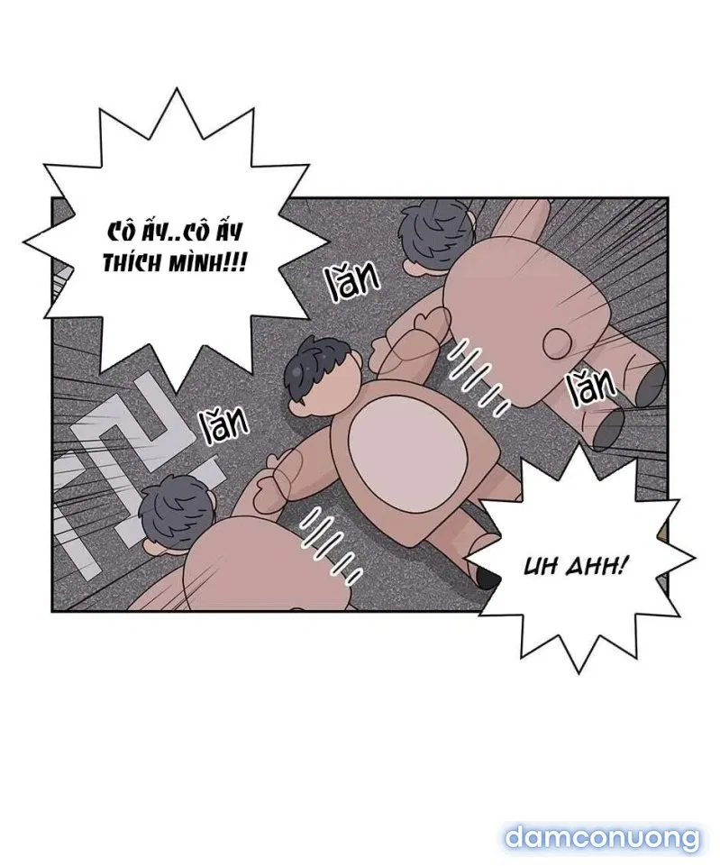 Toy Complex 