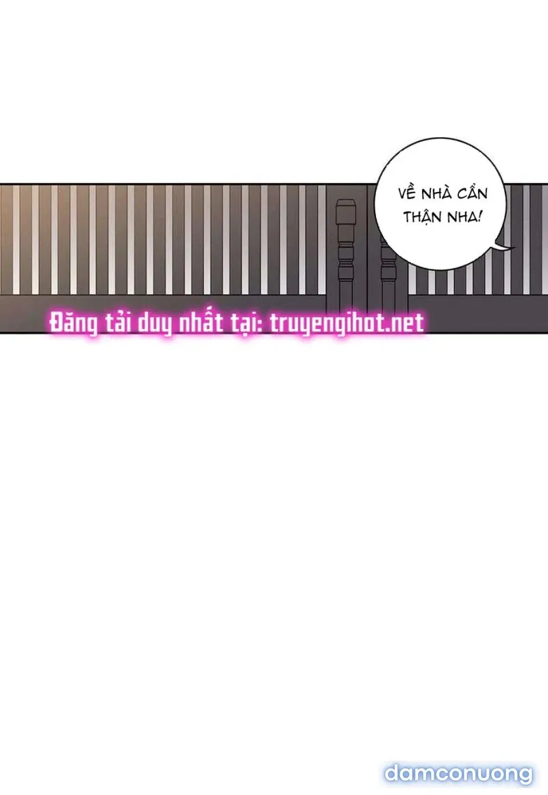 Toy Complex 