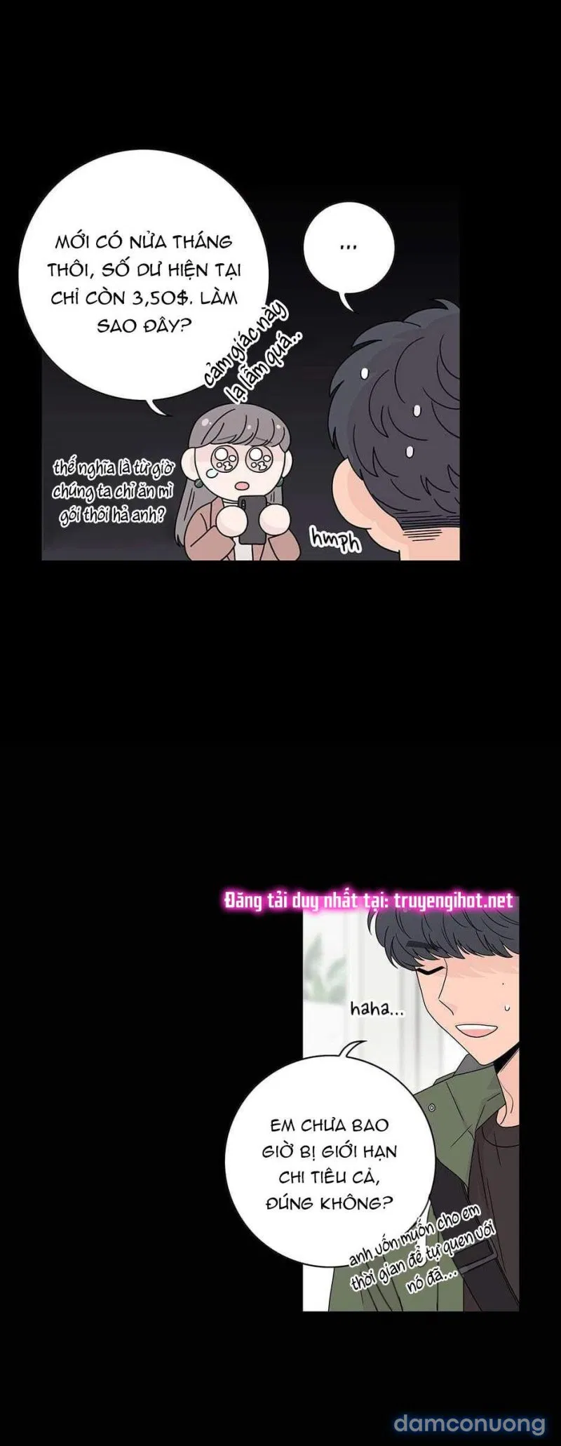 Toy Complex 