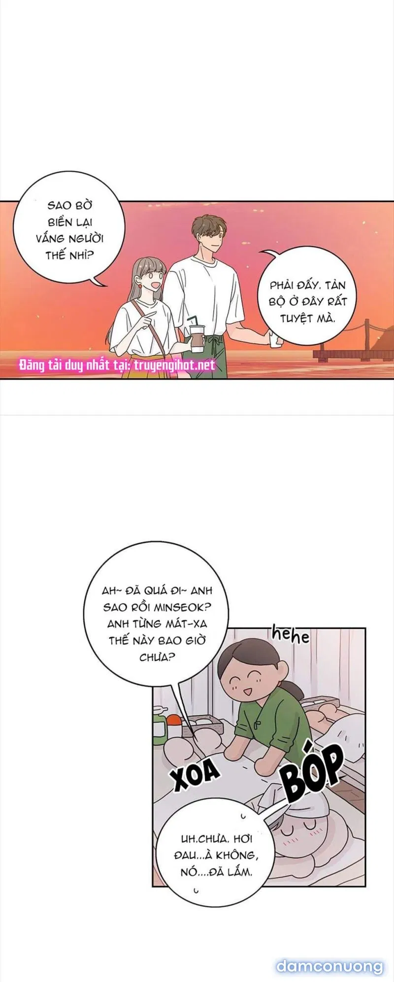 Toy Complex 