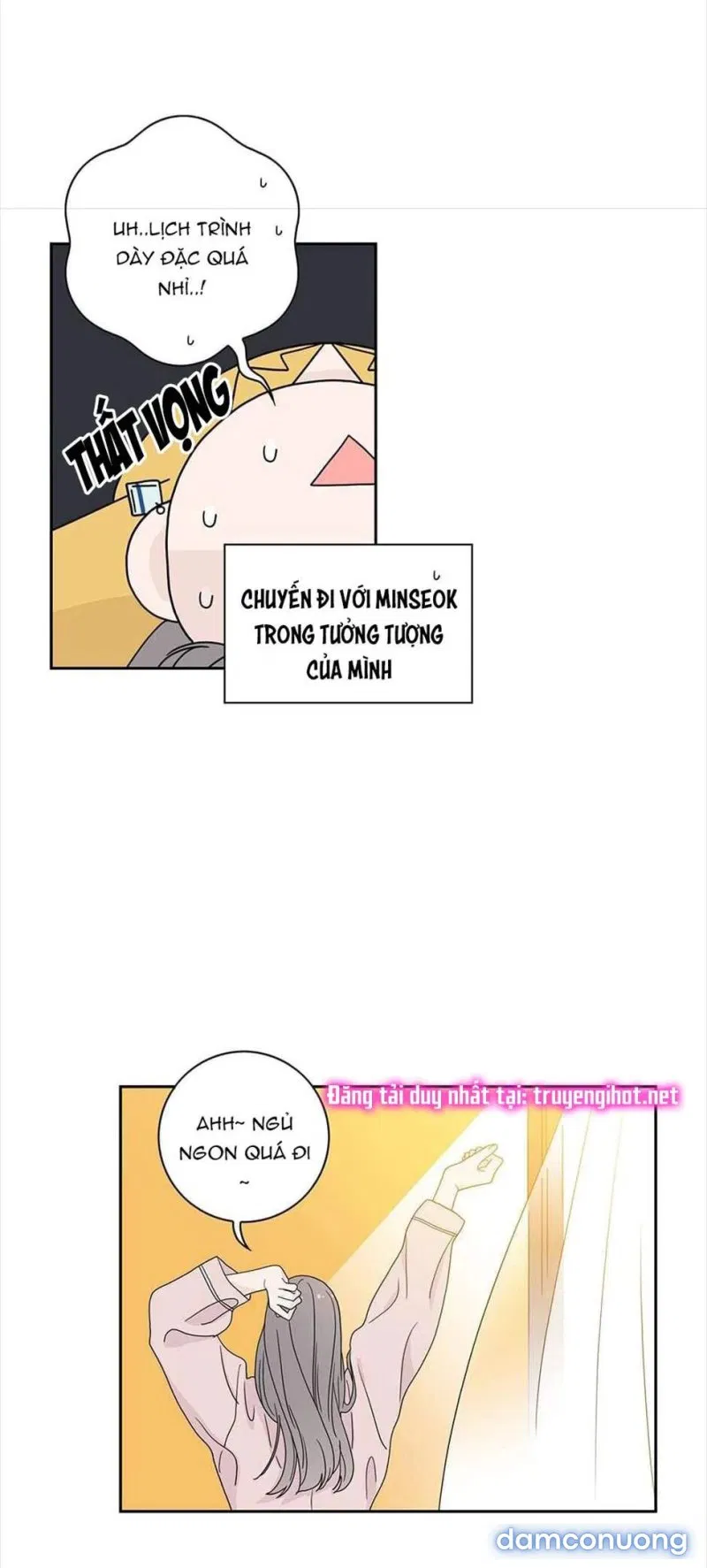 Toy Complex 