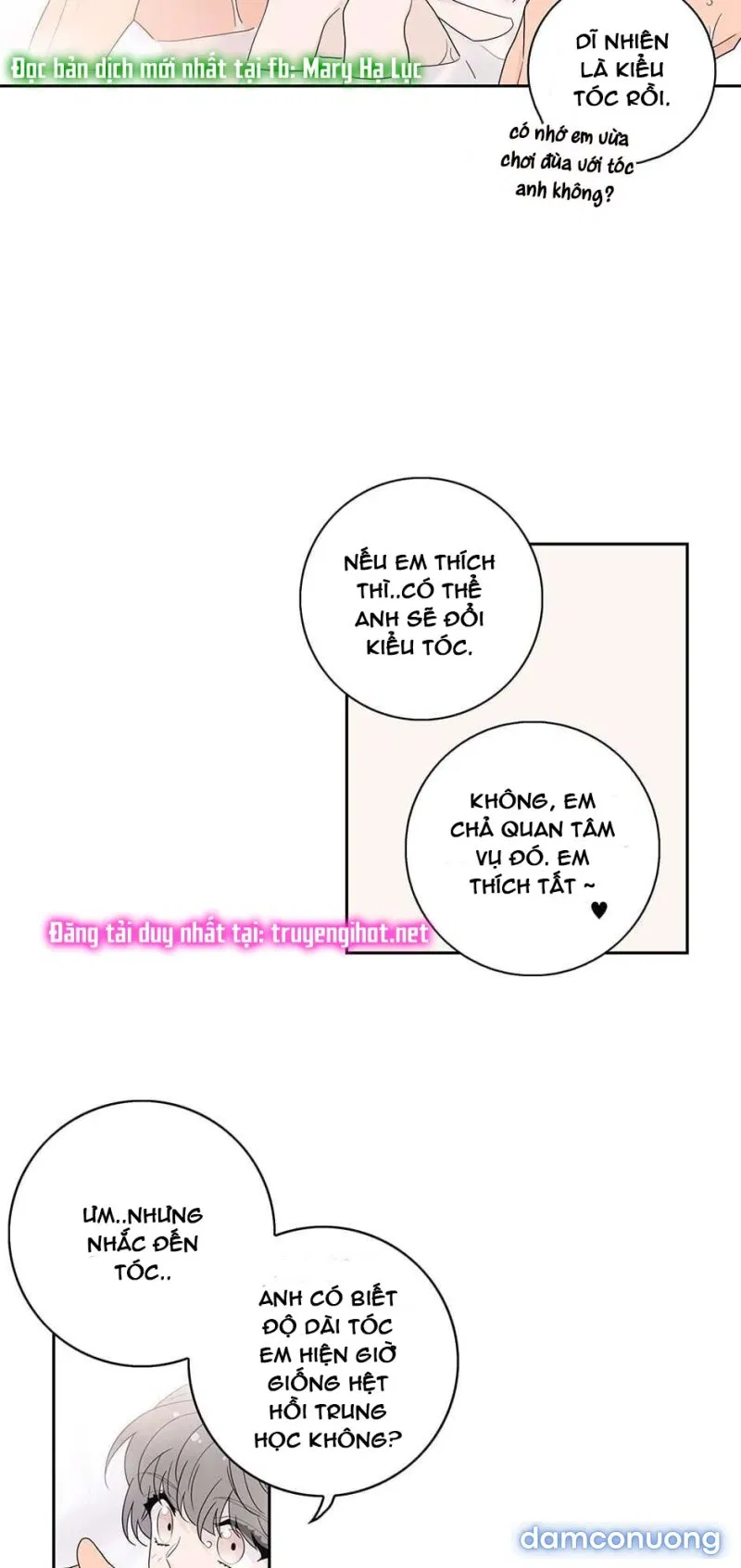 Toy Complex 