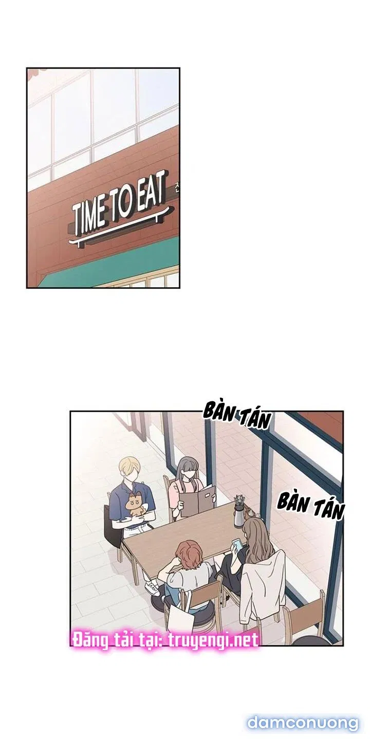 Toy Complex 