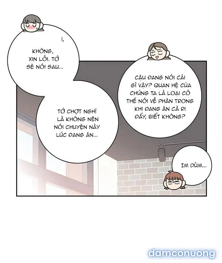 Toy Complex 
