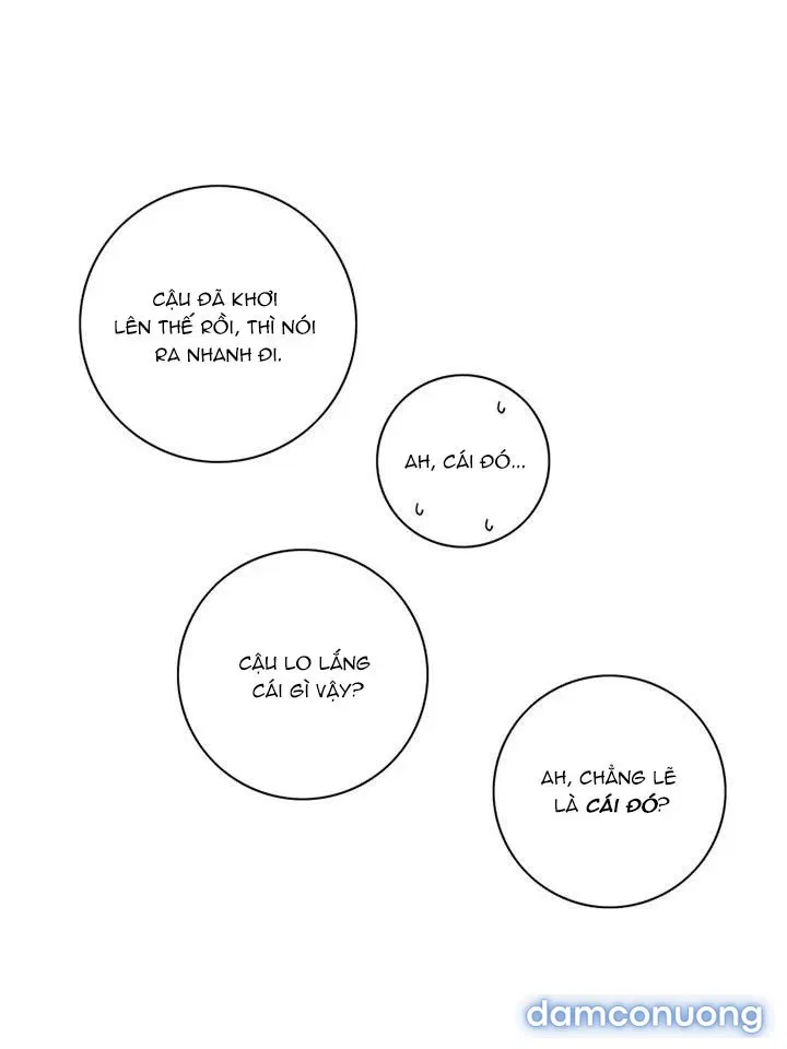 Toy Complex 
