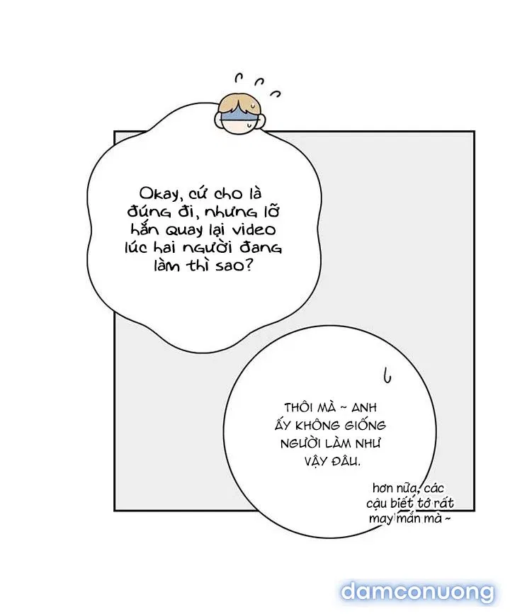 Toy Complex 