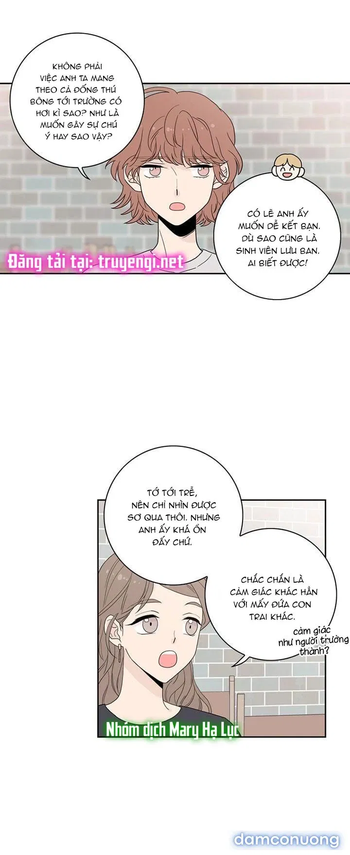 Toy Complex 