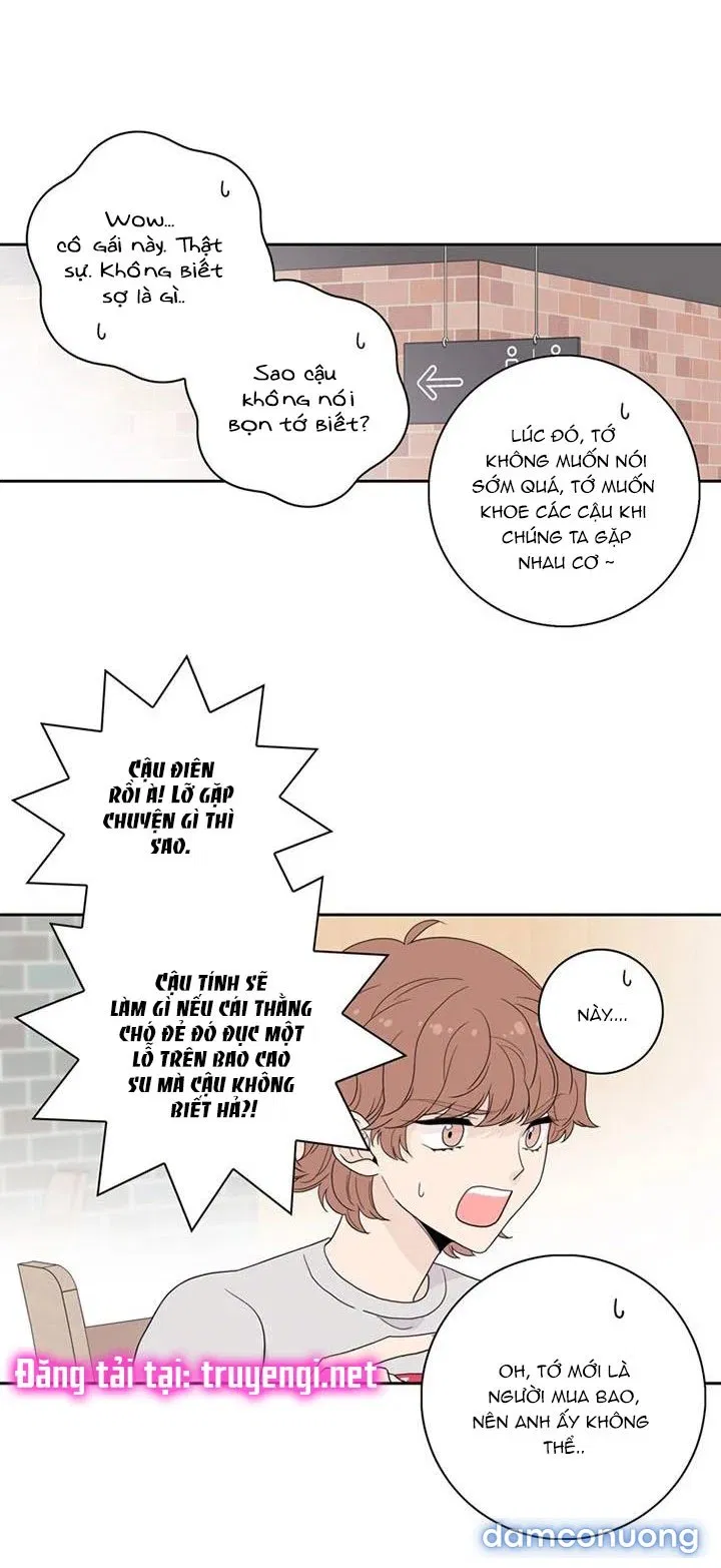 Toy Complex 