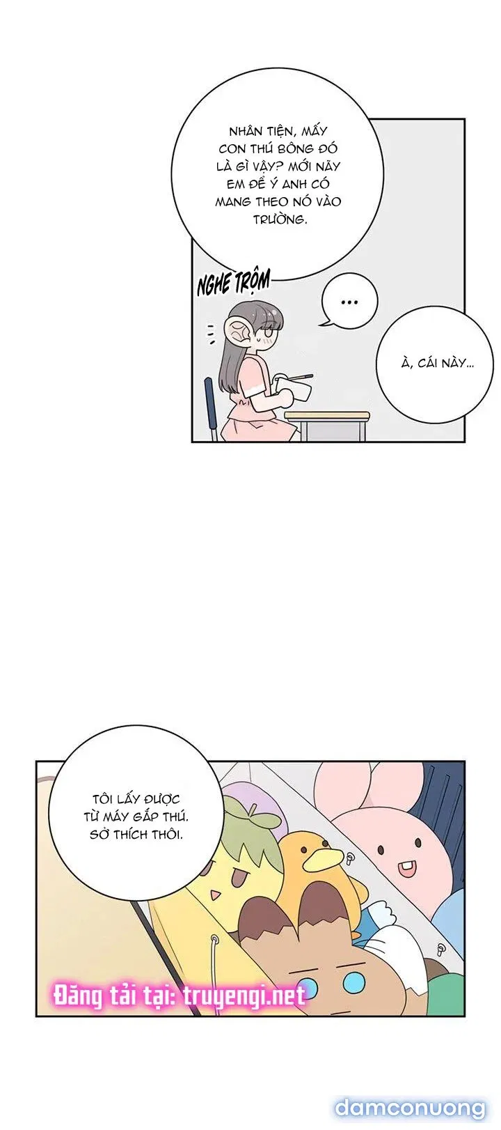 Toy Complex 
