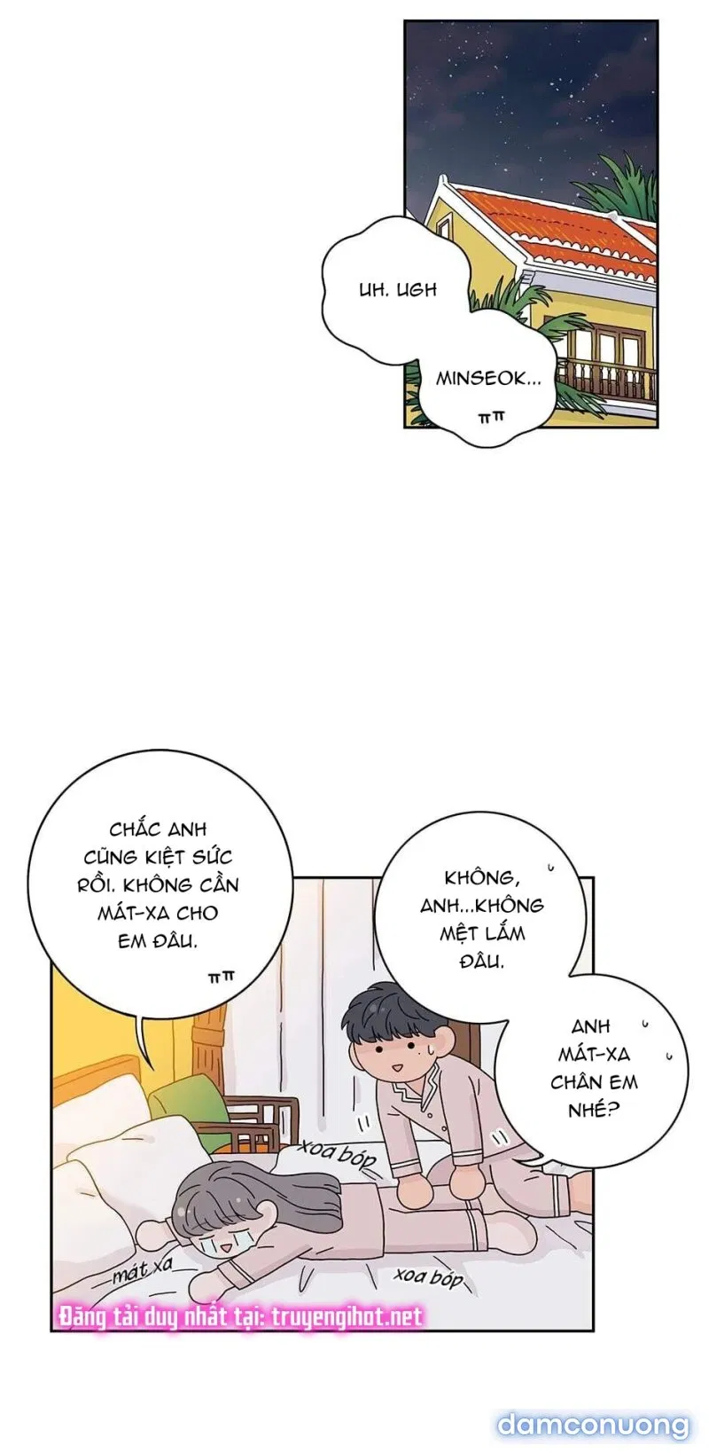 Toy Complex 