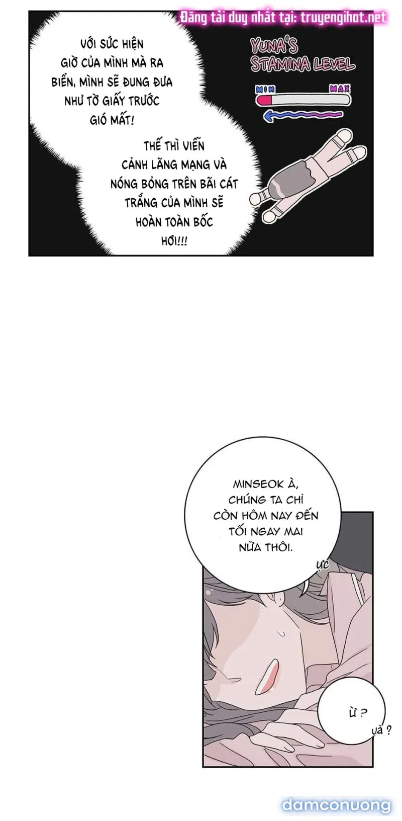 Toy Complex 