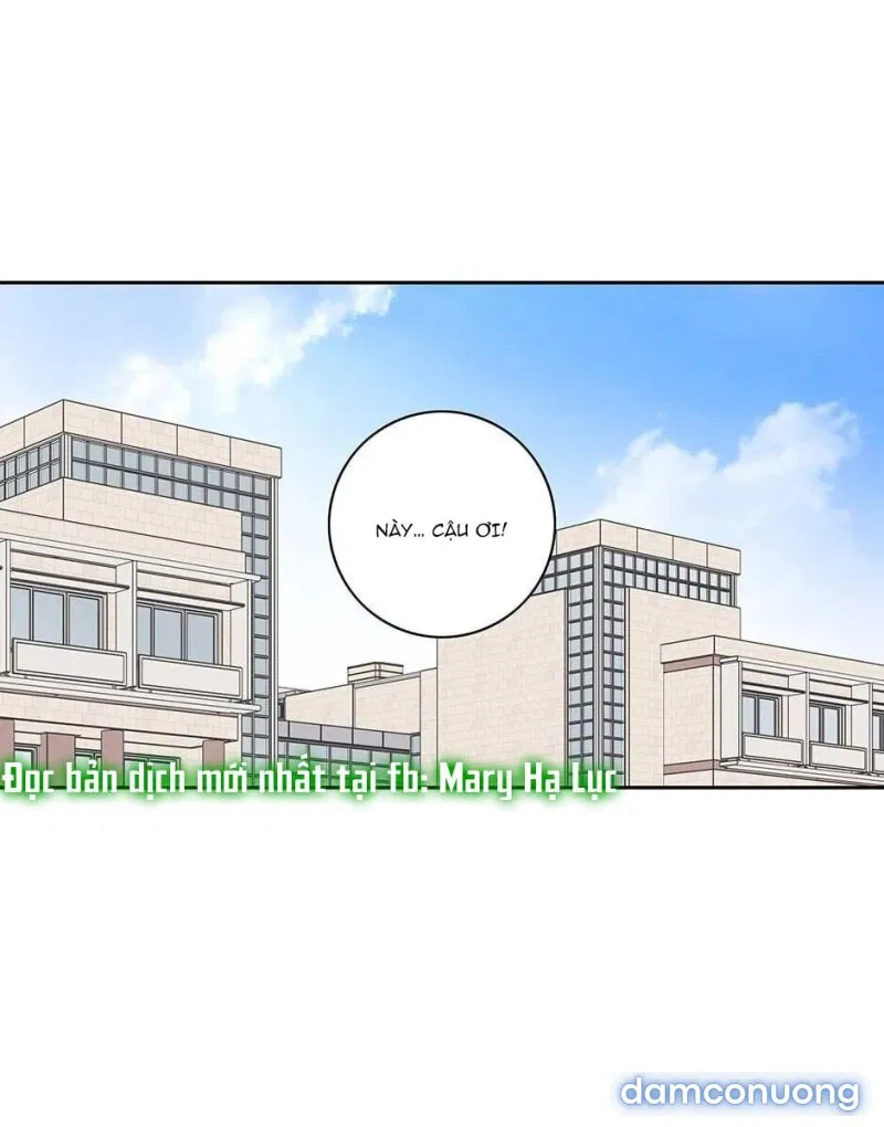 Toy Complex 