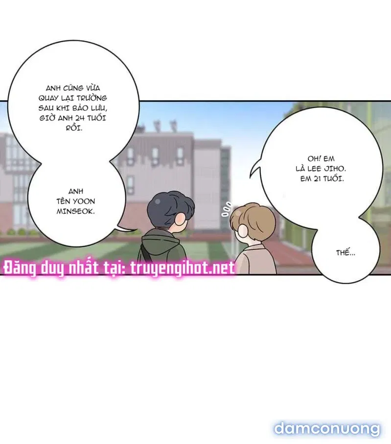Toy Complex 