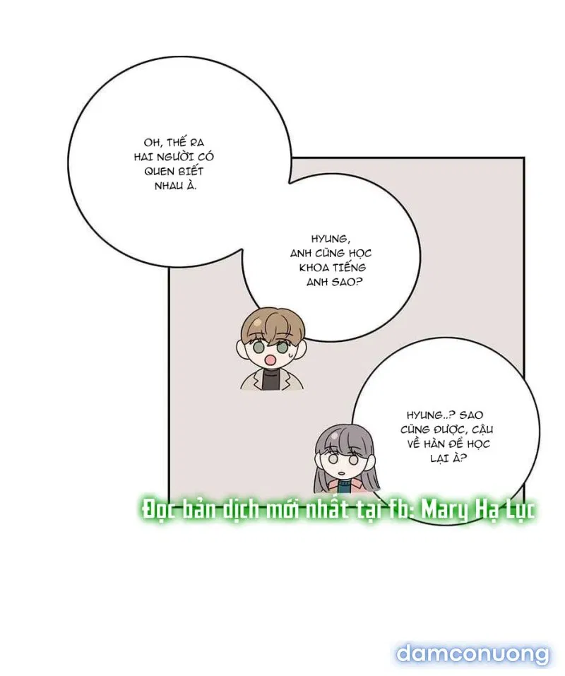 Toy Complex 