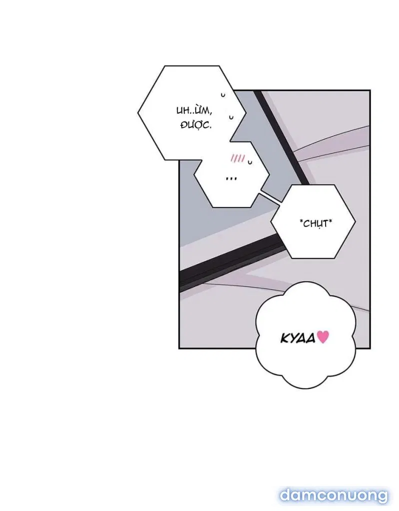 Toy Complex 