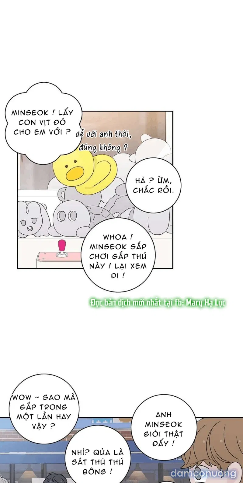 Toy Complex 