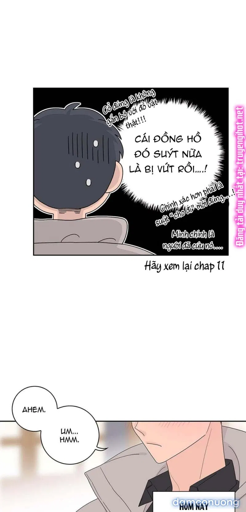 Toy Complex 