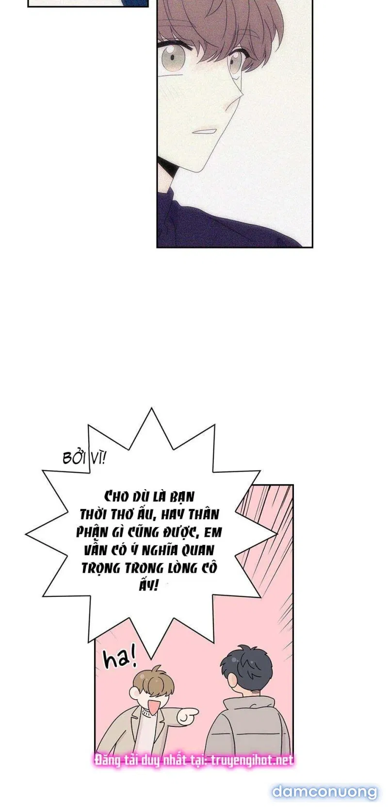 Toy Complex 