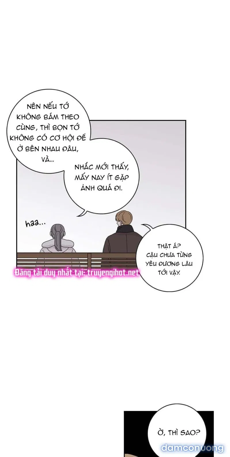 Toy Complex 