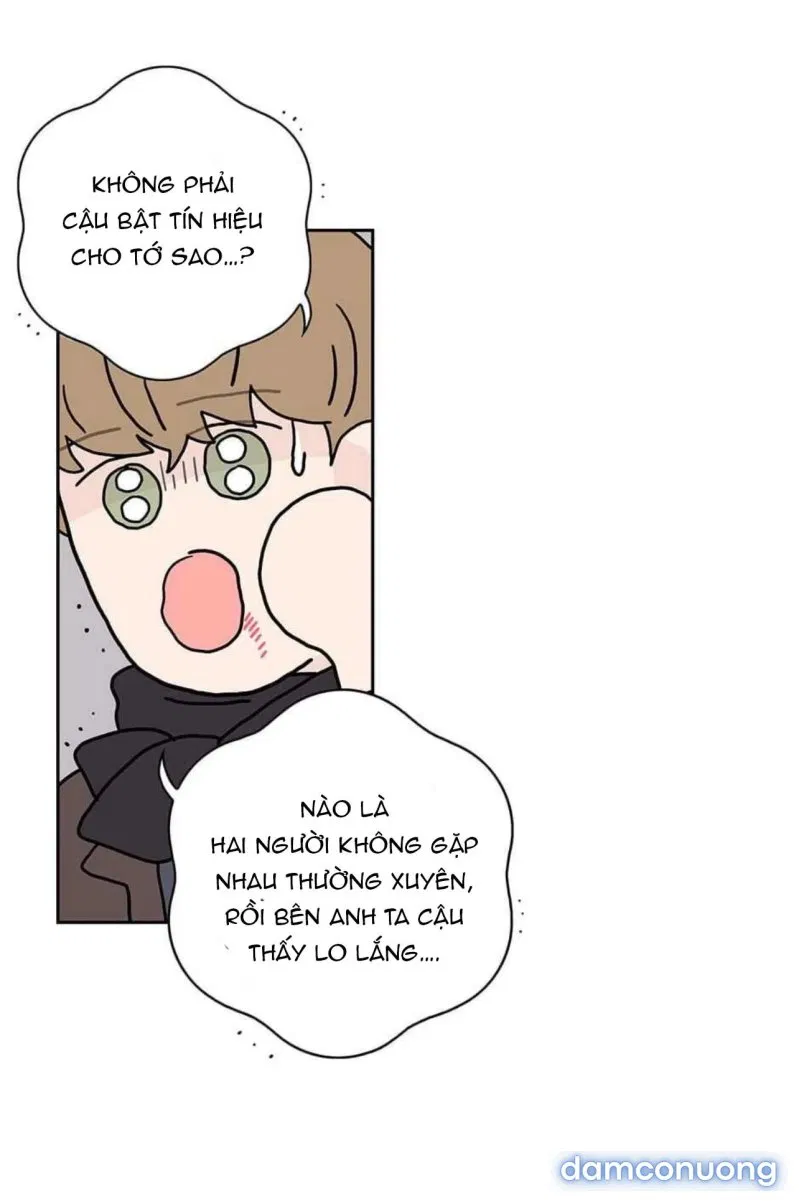 Toy Complex 