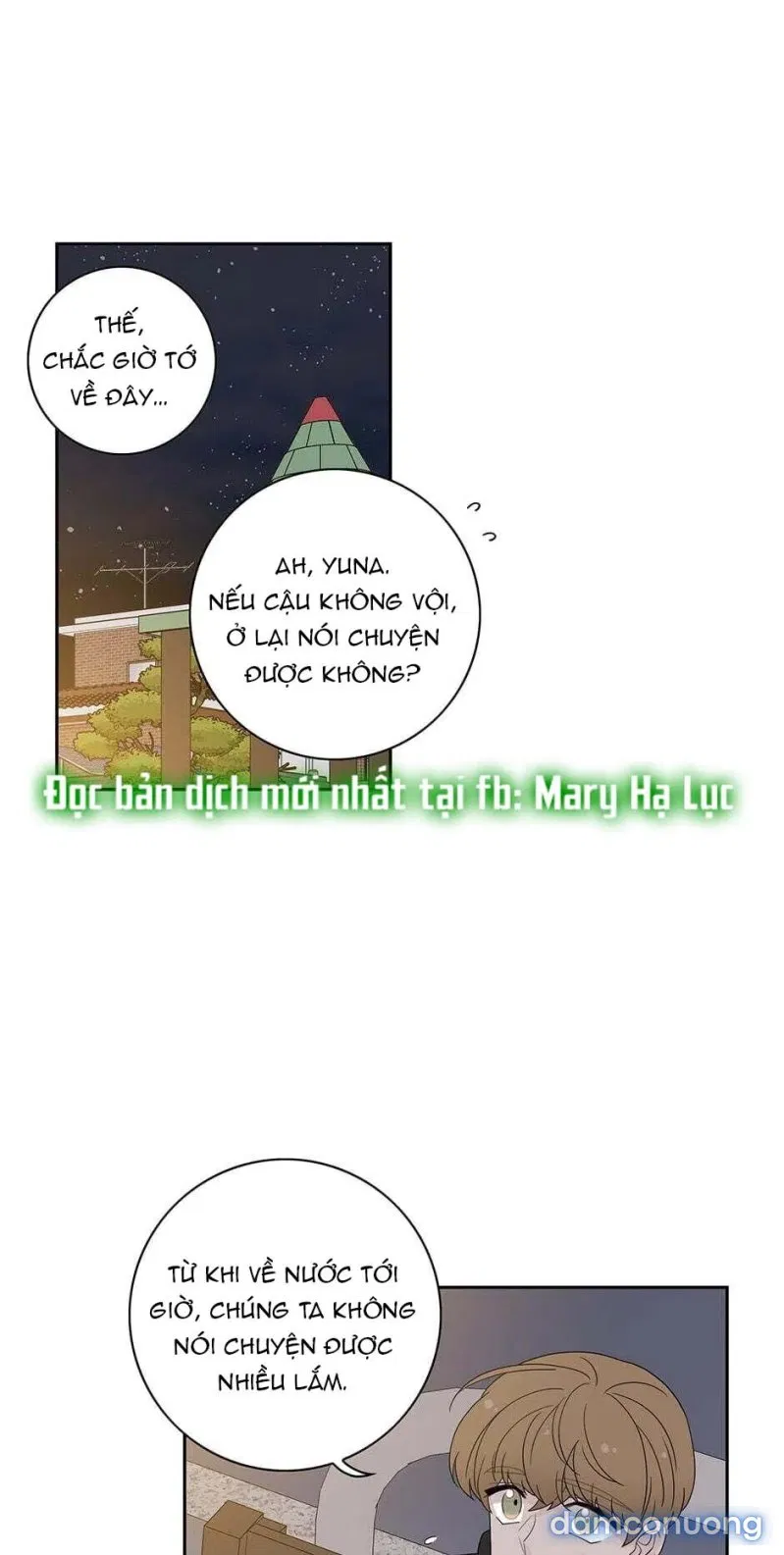 Toy Complex 