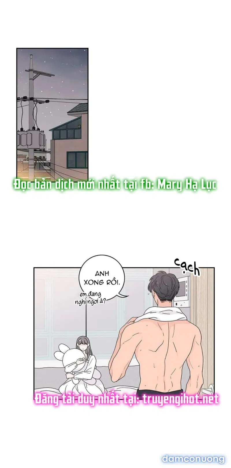 Toy Complex 