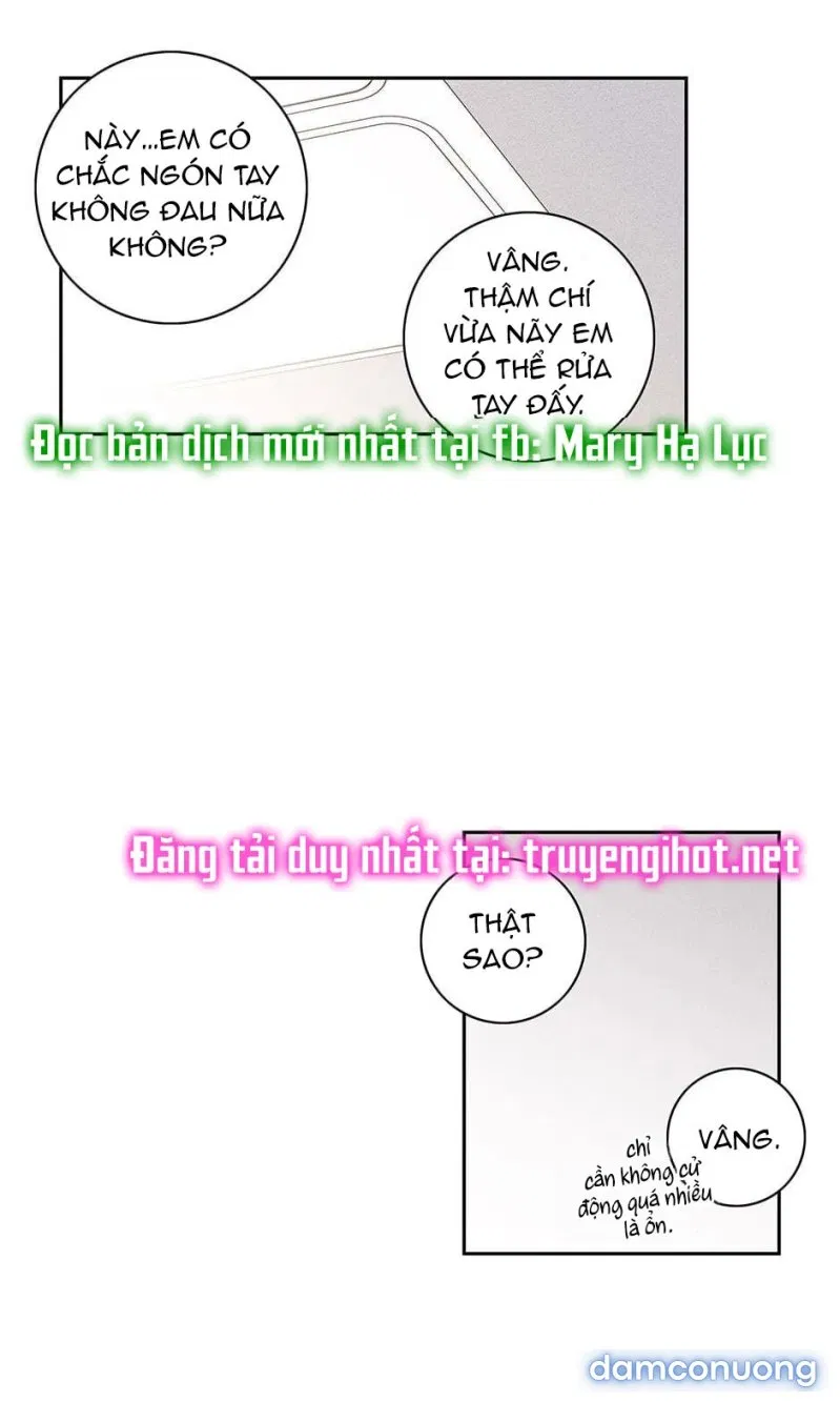 Toy Complex 
